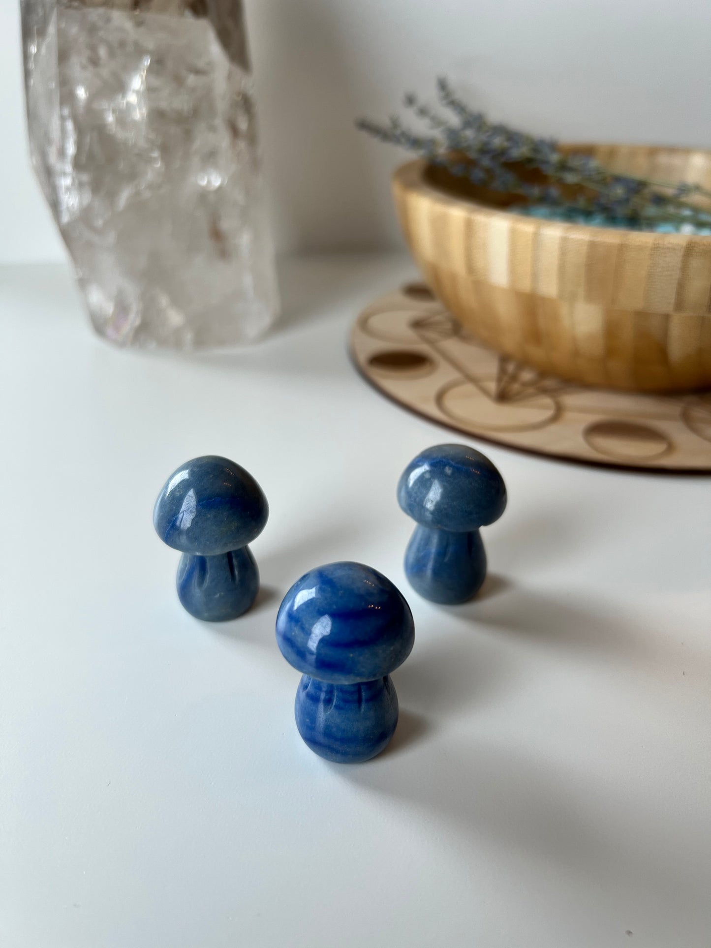 Small Blue Onyx Mushroom