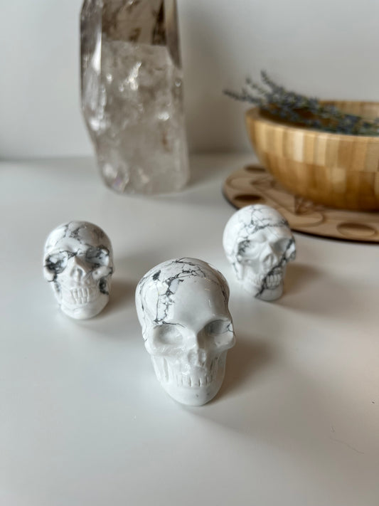 Howlite Skull