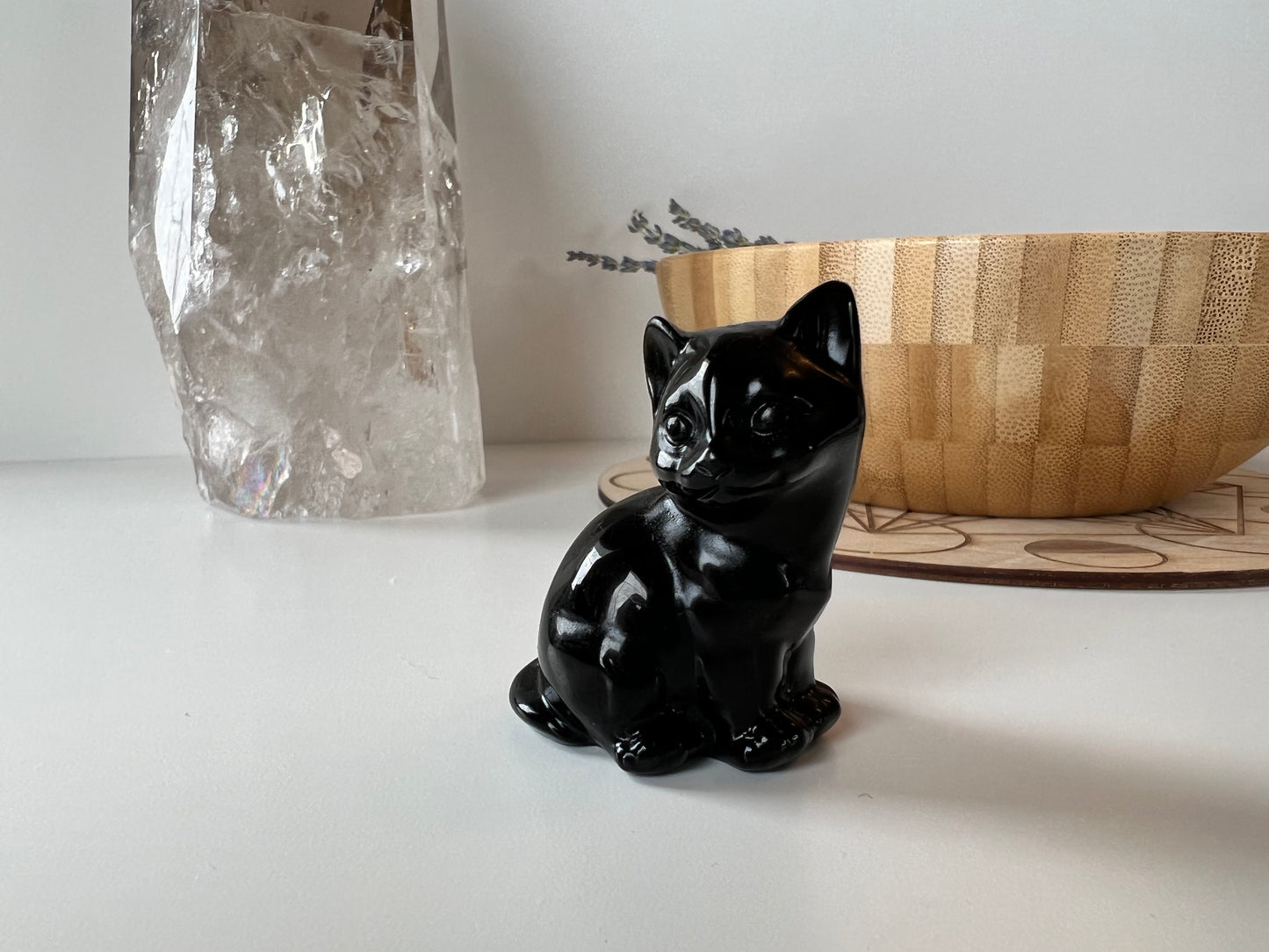 Obsidian Kitty