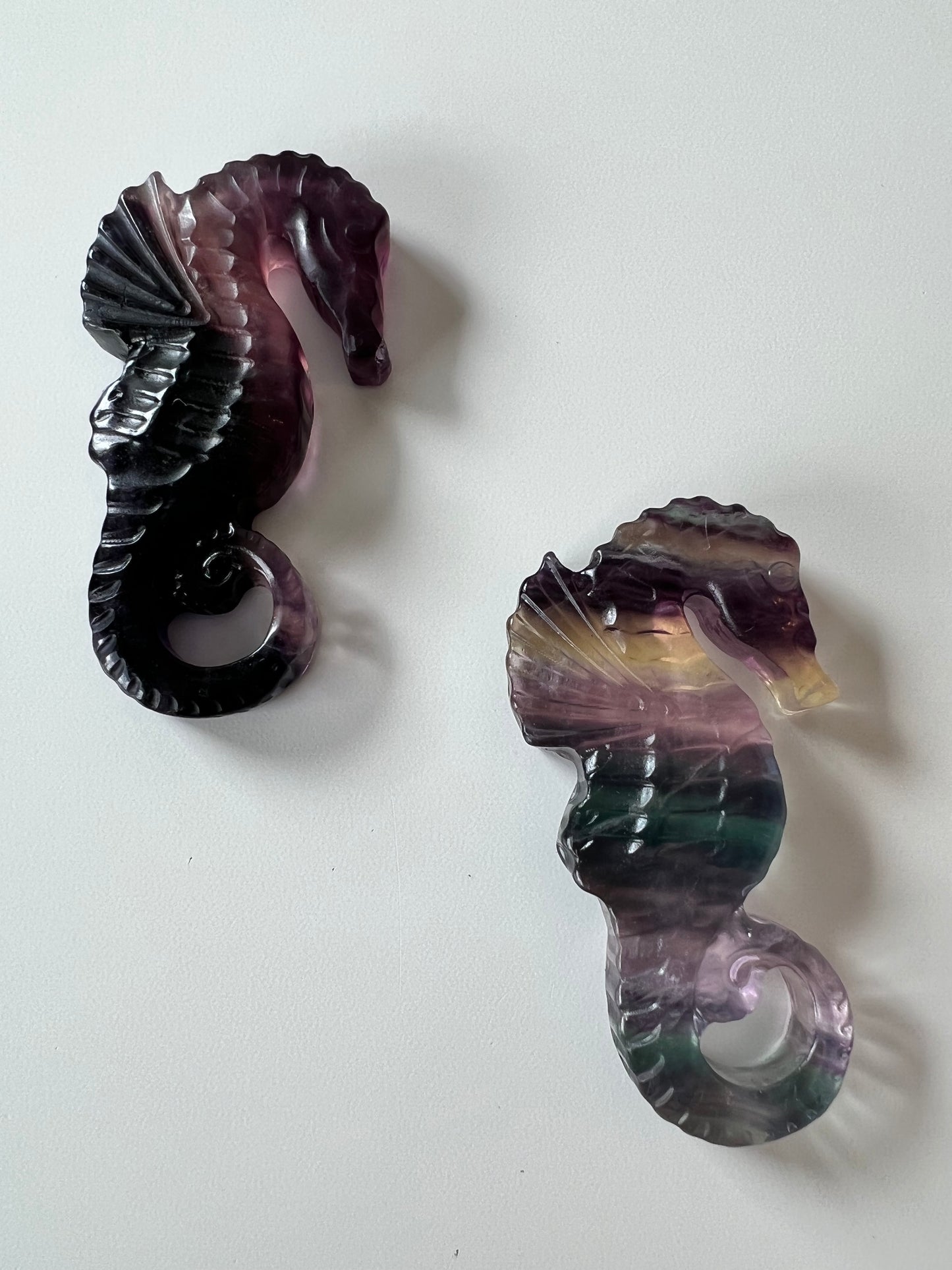 Fluorite Sea Horse