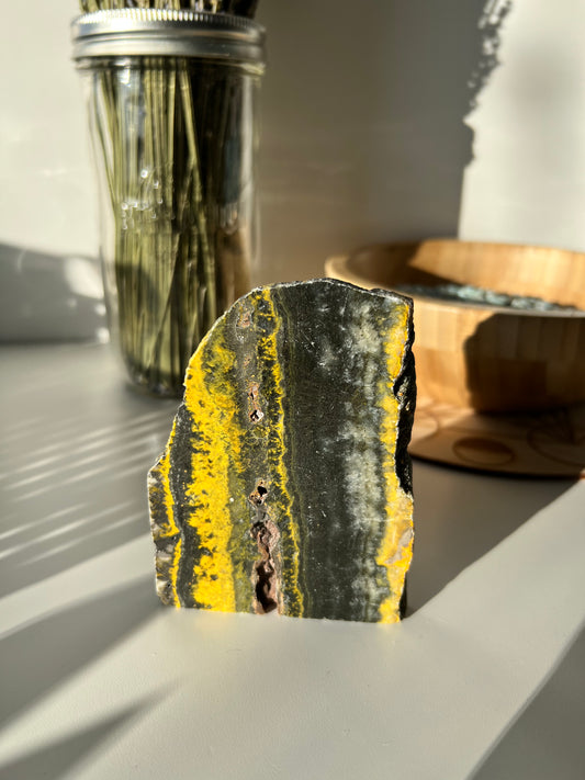 Bumblebee Jasper Slab 4